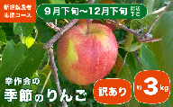 [訳あり]先行受付 季節のりんご 約3kg [新規就農者応援コース 幸作会]| 果物 フルーツ りんご 林檎 リンゴ 長野県産 信州産 令和8年産[2026年9月下旬〜12月下旬発送][KH-51]