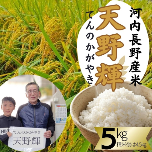 令和7年産 新米 ヒノヒカリ 天野輝5kg （精米後約4.5kg）てんのかがやき 大阪府 河内長野市産 白米 甘み 粘り ブランド米【2025年11月以降発送】米 こめ コメ 子ども 食育 減農薬 安心 安全 新米 河内長野市米 eco米 食味 白米 ごはん 銘柄米 ブランド 単一米 米 こめ コメ 白米 ごはん 新米 ひのひかり 2231922 - 大阪府河内長野市