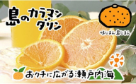 【2026年5月上旬から発送予定】完熟春みかん カラマンダリン 10kg  M~2Lサイズ