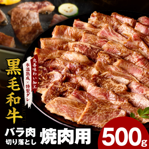 黒毛和牛 バラ 焼肉用 500g【切り落とし 小分け 氷温熟成×特製ダレ 味付け 焼くだけ 簡単調理 BBQ 牛肉】 mrz0185 2232188 - 大阪府泉佐野市