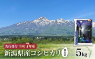 【先行予約 令和7年産 | 無洗米 コシヒカリ】10月中旬より順次発送　無洗米　新潟県産コシヒカリ 5kg 上越市 米 こめ コメ お取り寄せ
