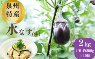 泉州特産水なす(生)　ナス 茄子 なす 泉州産 水なす [№5385-0584]