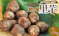 【令和7年産】 羽黒産 皮つき里芋 2kg　山形県鶴岡市 農事組合法人庄内おばこ農場 K-726