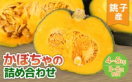 かぼちゃ 詰め合わせ 約3~5玉 4種 南瓜 瓜 農家直送 スピード出荷 健康 栄養 産直 九重栗 ブラックのジョー 坊っちゃん バターナッツ シチュー 煮物 和食 サラダ スープ ポタージュ スイーツ プリン ケーキ 調理 お弁当 レシピ 夏野菜 旬 調理  野菜 美容 ダイエット ビタミン 食物繊維 カリウム 新鮮  銚子産 送料無料 ふるさと納税野菜 ふるさと納税 千葉県 銚子市 孝農園