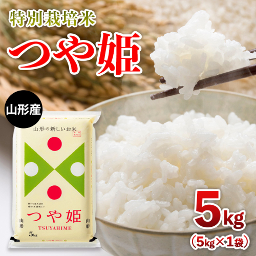 令和7年産新米 山形産 特別栽培米 つや姫 5kg FZ25-304 2233105 - 山形県山形市