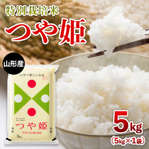 【限定数】令和6年産 山形産 特別栽培米 つや姫 5kg FY25-304 2233105 - 山形県山形市
