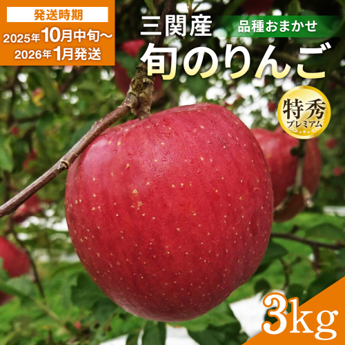 三関産 旬のりんご プレミアム 特秀 3kg （8玉～12玉） 旬 りんご 品種お任せ 果物 フルーツ 秋田県 三関 【三関果樹研究会】[B15109] 2233549 - 秋田県湯沢市