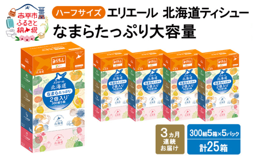 定期便 3ヵ月連続お届け エリエール ハーフサイズ 収納に便利 コンパクト 【少量5パック】 北海道ティシュー 300組 5箱×5パック 計25箱 なまらたっぷり 大容量 防災 常備品 備蓄品 消耗品 日用品 2234159 - 北海道赤平市