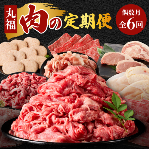 丸福 肉の定期便（6回／偶数月） 2234405 - 佐賀県玄海町
