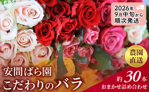 【2026年9月中旬から順次発送】安間ばら園 こだわりの バラ おまかせ詰め合わせ約30本入 クール便 花 ギフト 誕生日 記念日 花束 プレゼント バラ フラワーギフト 2234504 - 静岡県袋井市