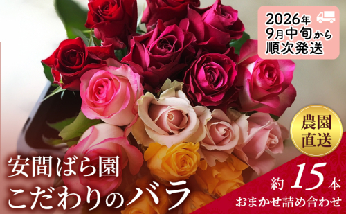 【2026年9月中旬から順次発送】安間ばら園 こだわりの バラ おまかせ詰め合わせ約15本入 クール便 花 ギフト 誕生日 記念日 花束 プレゼント バラ フラワーギフト 2234508 - 静岡県袋井市