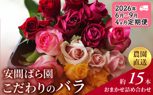 【2026年6月~9月定期便】安間ばら園 こだわりの バラ おまかせ詰め合わせ約15本 4か月定期便 花 ギフト 誕生日 記念日 花束 プレゼント バラ フラワーギフト 2234510 - 静岡県袋井市