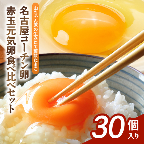 【山ちゃん家の生みたて葉酸たまご】名古屋コーチン卵・赤玉元気卵 食べ比べセット（各15個 合計30個入り）［132Y09］ 2234592 - 愛知県小牧市