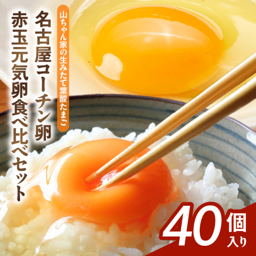 【山ちゃん家の生みたて葉酸たまご】名古屋コーチン卵・赤玉元気卵 食べ比べセット（各20個 合計40個入り）［132Y10］ 2234593 - 愛知県小牧市