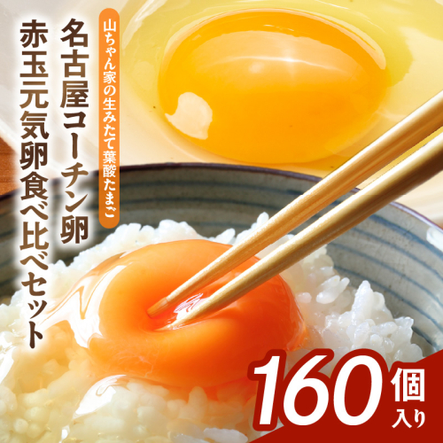 【山ちゃん家の生みたて葉酸たまご】名古屋コーチン卵・赤玉元気卵 食べ比べセット（各80個 合計160個入り）［132Y12］ 2234595 - 愛知県小牧市