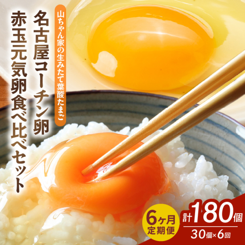 【6ヶ月定期便】【山ちゃん家の生みたて葉酸たまご】名古屋コーチン卵・赤玉元気卵 食べ比べセット（各15個 合計30個入り）［132Y10-T］ 2234597 - 愛知県小牧市