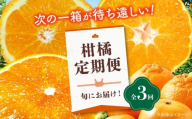 [全3回定期便] 大洲の旬果をお届け!柑橘定期便 愛媛県大洲市/フジ アグリフーズ[AGBA021] 先行予約 みかん ミカン 紅マドンナ 紅まどんな 果物 くだもの フルーツ 愛媛県産 大洲市産 産地直送 おすすめ 人気 お取り寄せ 送料無料 贈答 ギフト