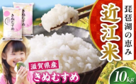 【令和7年産新米】きぬむすめ 10kg 白米 滋賀県長浜市/株式会社コメック [AQDH006] 米 お米 白米 10kg キヌムスメ 滋賀県産 長浜市産 こめ 精米 お米 新米 食品 国産 米ギフト ブランド米 食卓 美味しい 冷めても美味しい 人気 お弁当 和食 琵琶湖の恵み ご飯のお供 夜ごはん 昼ごはん 朝ごはん 上品な 甘み あっさり カレー 丼 卵料理