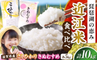 【令和7年産新米】コシヒカリ・きぬむすめ白米食べ比べセット 滋賀県長浜市/株式会社コメック [AQDH007] 米 お米 白米 10kg キヌムスメ こしひかり 滋賀県産 長浜市産 こめ 精米 お米 新米 食品 国産 米ギフト ブランド米 食卓 冷めても美味しい 人気 お弁当 和食 ご飯のお供 もっちり もちもち 上品な 甘み あっさり カレー 丼 卵料理