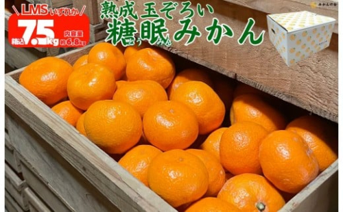 ［先行予約］熟成 みかん 箱込7.5kg ( 内容量 6.8kg ) SMLサイズのいずれか 秀品 優品 混合 和歌山県産 産地直送 贈答用 ［みかんの会］ 2235012 - 和歌山県有田川町
