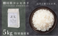 [003-a001] 米 令和5年産 特別栽培米 コシヒカリ「愛発の棚田米」5kg