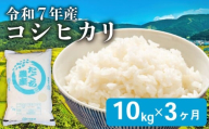 [先行予約 令和7年産] こしひかり 3ヶ月 定期便 10kg 新米 精米 米 コメ お米 白米 ご飯 コシヒカリ 5kg 2袋 令和7年 3回 滋賀 彦根