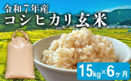 【先行予約 令和7年産】こしひかり 6ヶ月 定期便 玄米 15kg 新米 米 お米 ご飯 15kg 1袋 令和7年 コシヒカリ 6回 滋賀 彦根