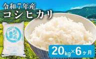 【先行予約 令和7年産】 こしひかり 6ヶ月 定期便 20kg 精米 米 コメ お米 白米 ご飯 コシヒカリ 5kg 4袋 令和7年 6回 定期便 滋賀 彦根