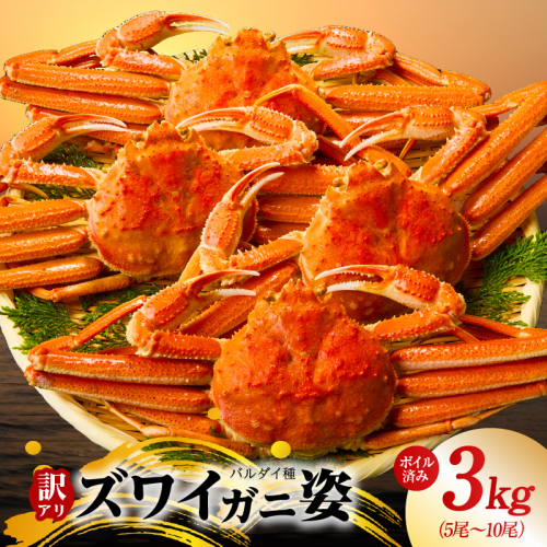 【訳あり規格】バルダイ種 ズワイガニ姿 3kg（5～10尾）【ボイル済み オオズワイガニ かに カニ 蟹 ズワイガニ ファミリー向け】 kgp0104 2235998 - 大阪府泉佐野市