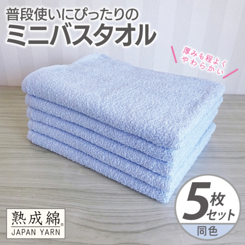 普段使いにぴったりのミニバスタオル 5枚【サックス 泉州タオル 高品質 綿100％ 日本製 国産 単色 シンプル】 G2275 2236017 - 大阪府泉佐野市