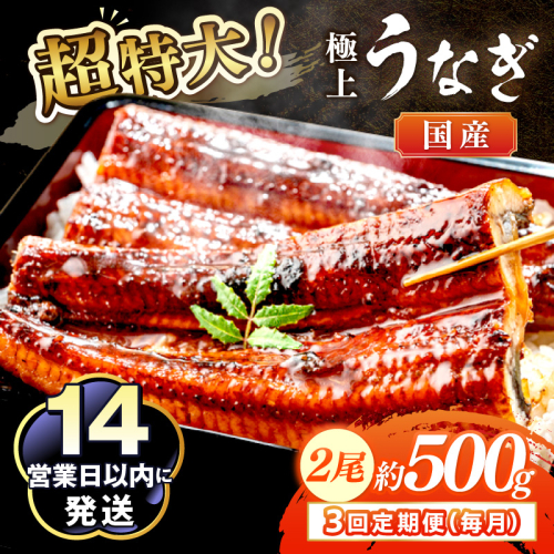 【定期便 毎月×3回】超特大！極上！国産うなぎ蒲焼 2尾 合計500g前後 2236112 - 京都府京丹後市