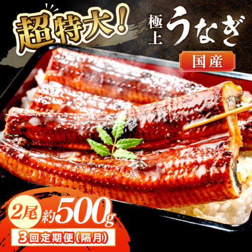 【定期便 隔月×3回】超特大！極上！国産うなぎ蒲焼 2尾 合計500g前後 2236113 - 京都府京丹後市
