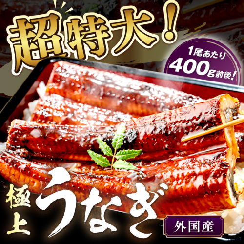 【定期便 毎月×3回】超特大！ふっくら肉厚！うなぎ蒲焼 2尾 合計800g前後 2236118 - 京都府京丹後市