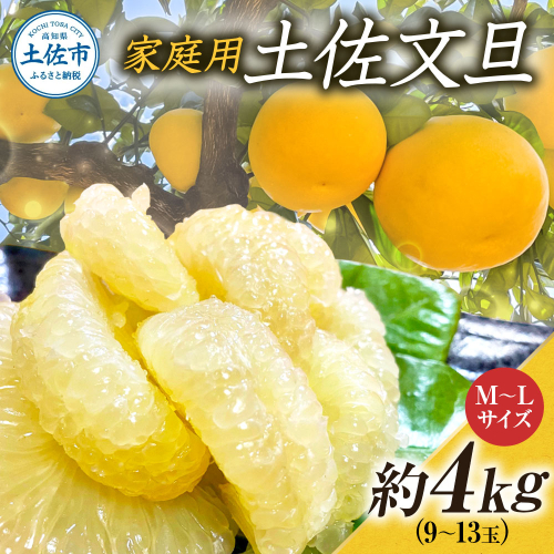 文旦 約4kg M～Lサイズ 9～13玉 ぶんたん ブンタン フルーツ 柑橘 みかん 果物 くだもの 柑橘類 デザート 家庭用 プレゼント ギフト お取り寄せ 国産 常温 配送 2236552 - 高知県土佐市