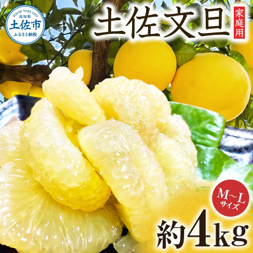 文旦 約4kg M～Lサイズ 9～13玉 2236552 - 高知県土佐市