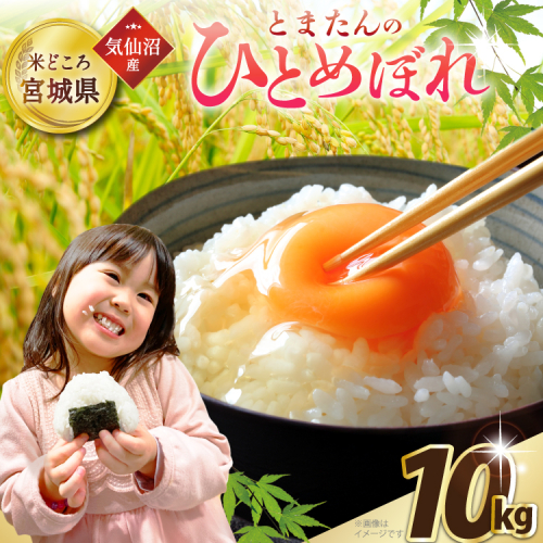 米 令和7年産 宮城県産 とまたんのひとめぼれ 10kg (5kg×2袋) [サンフレッシュ小泉農園 宮城県 気仙沼市 20565647] ひとめぼれ ブランド米 白米 精米 ご飯 ごはん コメ こめ お米 小分け 家庭用 2236585 - 宮城県気仙沼市