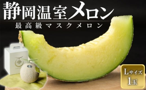 【特別寄付額：事業者支援】静岡温室メロン 1玉　Ｌ玉1.6kg～1.7kg 最高級のマスクメロン 山下メロン園 高級果実店に仕入るほどの自信のあるメロン ギフト メロン めろん 箱詰め フルーツ 果物  産地直送 甘いメロン 糖度 青肉 2236587 - 静岡県御前崎市