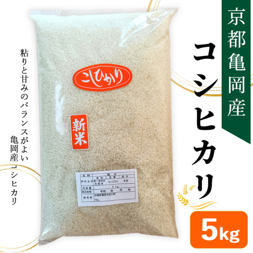 令和7年産 京都亀岡産 コシヒカリ 5kg 精米仕立て 新米 白米 精米 お米 ※2025年11月中旬～12月下旬頃に順次発送予定 2236684 - 京都府亀岡市