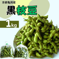 令和7年産 京都亀岡産 黒枝豆 1kg 期間限定 大粒 黒豆 お取り寄せ おつまみ えだまめ 冷蔵でお届け ※2025年9月中旬～10月下旬頃に順次発送予定 ※北海道・沖縄・離島への配送不可