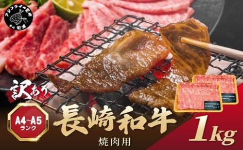 訳あり！【A4～A5】長崎和牛焼肉用 500g×2P( 牛肉 牛 和牛 国産 焼肉 おすすめ 赤身 美味しい バーベキュー プレゼント ギフト 送料無料 お取り寄せ )【C2-050】 2236795 - 長崎県松浦市