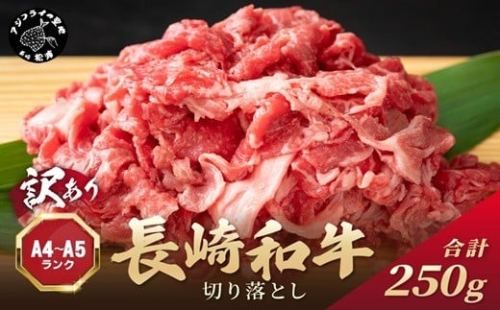 訳あり！【A4～A5】長崎和牛切り落とし250g( 牛肉 おすすめ 長崎和牛 バーベキュー 焼肉 切り落とし 冷凍 国産 送料無料 赤身 )【A6-036】 2236849 - 長崎県松浦市
