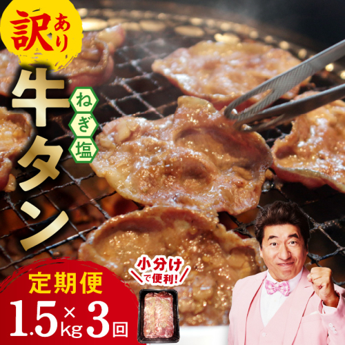 牛たん三昧 定期便 1.5kg×3回【ねぎ塩 牛タン 成型 小分け 250g×6 牛肉 焼肉用 薄切り 訳あり サイズ不揃い】 099Z373 2236853 - 大阪府泉佐野市