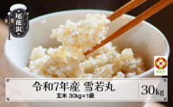 【先行予約】令和7年産 新米 玄米 雪若丸 30kg 11月上旬~順次発送 2025年産 米 お米 国産 山形県 尾花沢市 kd-ywgxa30