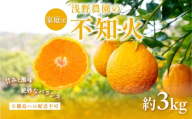 【先行予約】【家庭用】不知火 約3kg ※離島への配送不可（2026年2月上旬頃より順次発送予定） 【 ふるさと納税 人気 おすすめ ランキング 柑橘 みかん ミカン フルーツ 果物 でこぽん デコポンと同品種 愛媛県 伊方町 送料無料 】IKTAC003