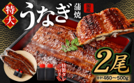 国産 うなぎ 蒲焼 2尾 （460 〜 500g）と 特製タレ 2個 セット【2026年2月発送】｜ 鰻 ウナギ 蒲焼き うなぎ蒲焼 セイロ蒸し せいろ蒸し タレ付 冷凍 大阪府 阪南市