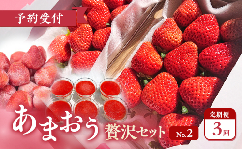 【2026年3月上旬より発送開始】【予約受付・3回定期便】あまおう贅沢セットNo.2 ※配送不可：北海道・沖縄県・離島 2237274 - 福岡県大刀洗町