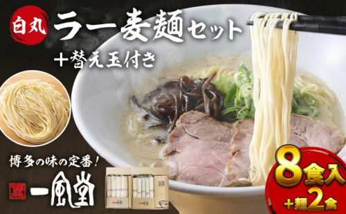 限定　ラーメン【一風堂】 白丸 ラー麦麺セット替え玉付き 8食入＋麺2食 期間限定 替え玉2食付 豚骨ラーメン ラーメン とんこつ 2237280 - 福岡県大刀洗町