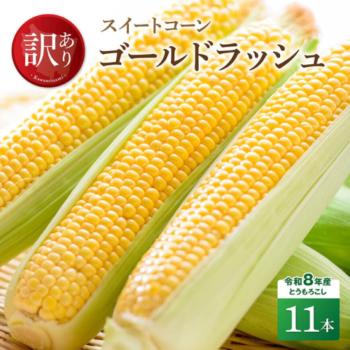 【訳あり】令和8年産とうもろこし　スイートコーン「ゴールドラッシュ」11本 【 新鮮 農家直送 トウモロコシ 産地直送 季節限定 期間限定 宮崎県産 九州産 】 2237282 - 宮崎県川南町