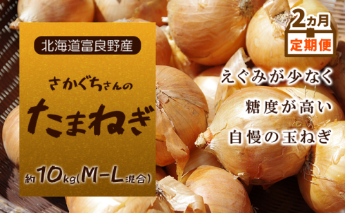 2ヵ月定期便【北海道富良野産】さかぐちさんのたまねぎ 約10kg（M-Lサイズ混合）定期便 玉ねぎ たまねぎ 野菜 新鮮 直送 道産 北海道 ふらの 2237291 - 北海道富良野市