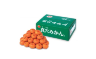 真穴みかん＜2Lサイズ＞約5kg＜E43-10＞【1654525】
